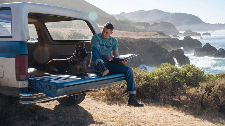 3 razões para assistir Dog – A Aventura de Uma Vida