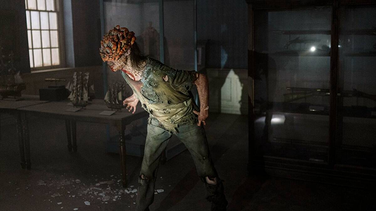 The Last of Us- uma pandemia fúngica poderia acontecer?