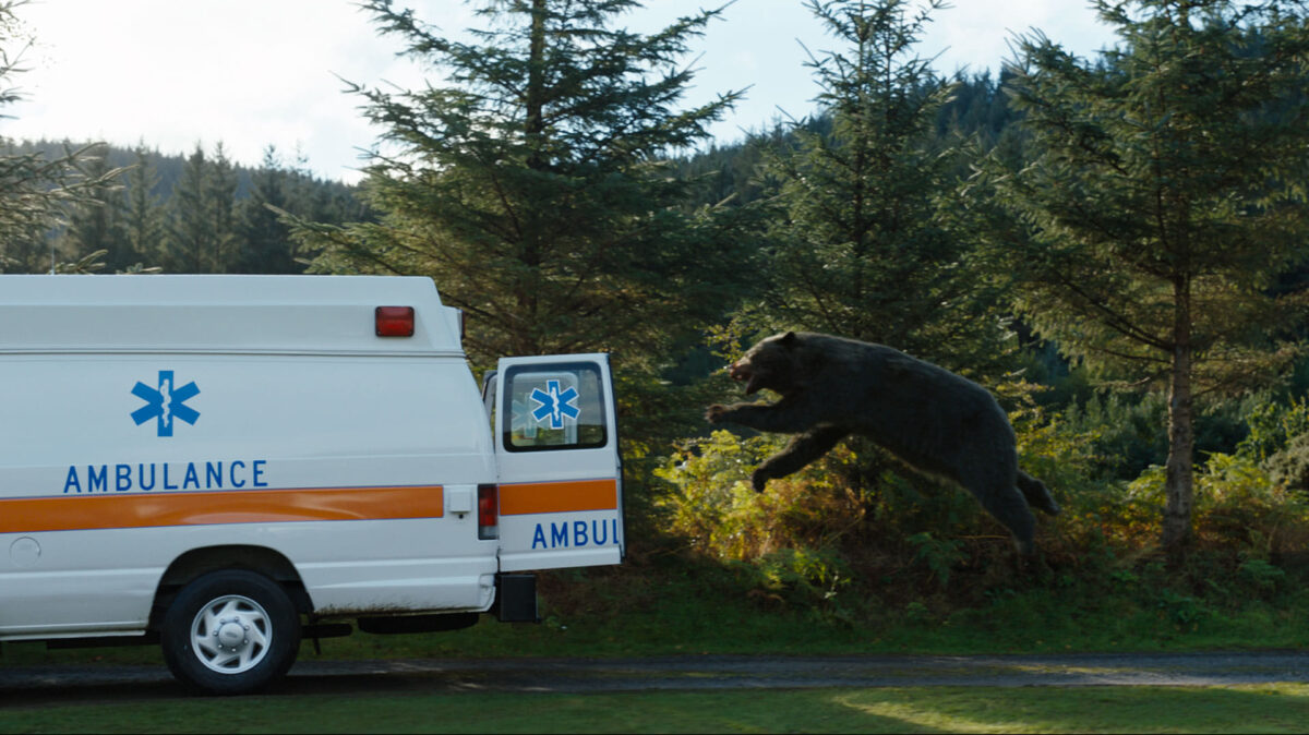 3 razões para assistir a O Urso do Pó Branco