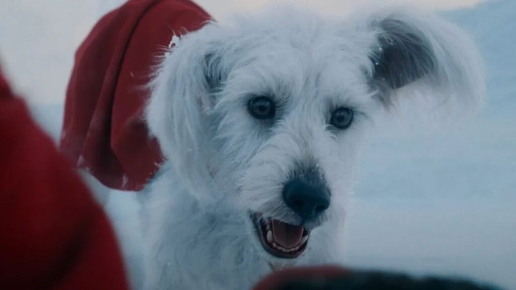 Krypto ganhará uma série de curtas, confirma James Gunn
