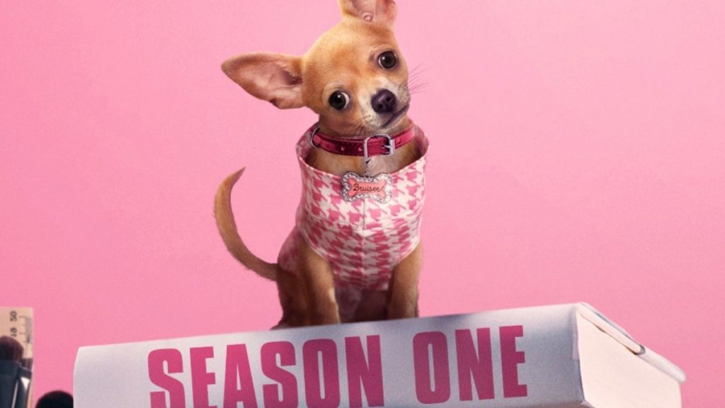 Prequel Legalmente Loira estreia em julho no Prime Video