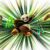 Kung Fu Panda 4: História não traz novidades e adiciona personagens rasos